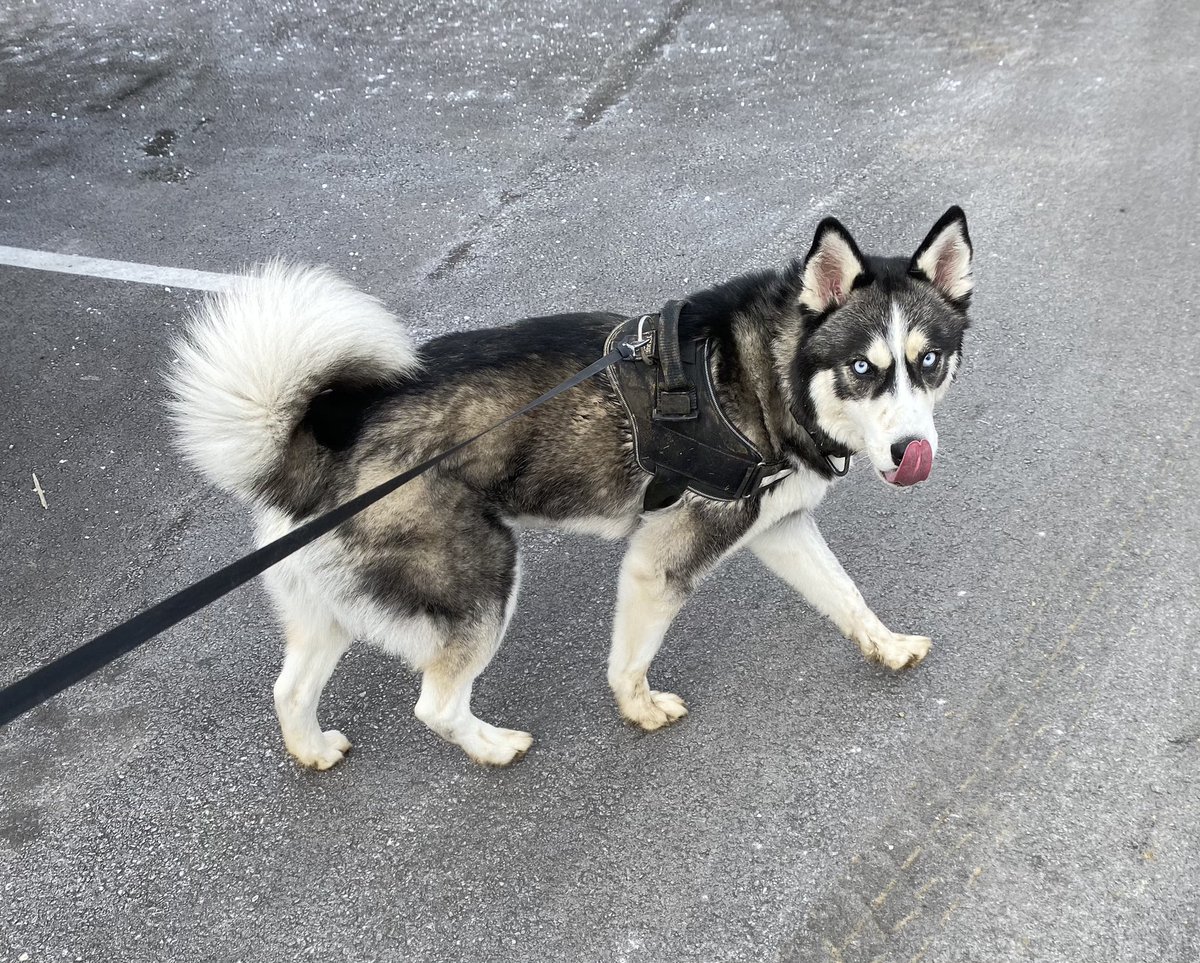 Tongue out Thursday!