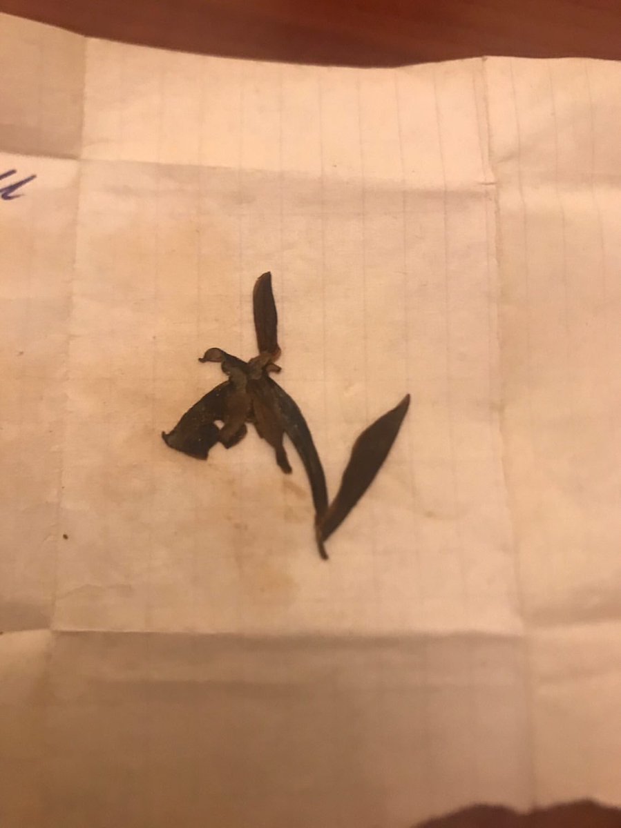 NazuLkin's tweet photo. 27 years ago, a young #Azerbaijan|i lady picked KhariBulBul in #Shusha. She kept it in her purse as a memory of her ancestors' land. Tomorrow we gonna honor 2783 soldiers fallen in the war so that #1MillionAzerbaijaniRefugees, just like this young lady, can see KhariBulBul again. https://t.co/56oTZl9DT3