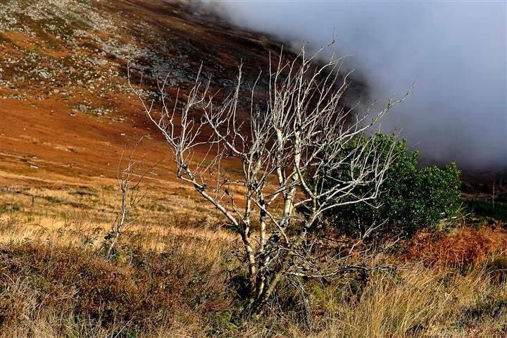 Watch out for Mother Natureโs colour palette when walking Wexford Walking Trails
๐ https://t.co/CDGkL0zVcn
#WexfordWalkingTrail #VisitWexford #WalkWexford #Wexford #WexfordWalks #TakeAHike #ChooseWexford #WexfordTrails #staylocal #StaySafe #irelandsancienteast https://t.co/E2JZmBFeN0