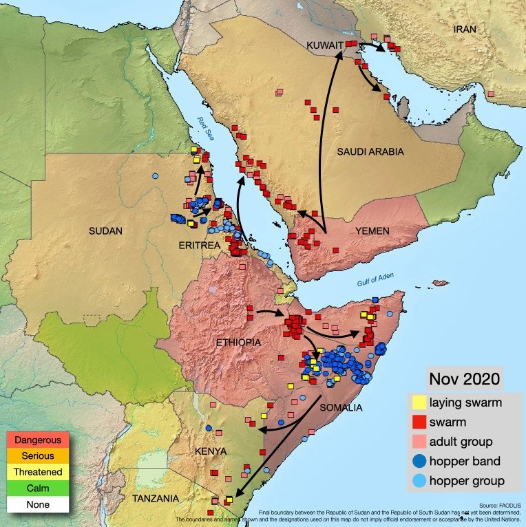 FAOPlants's tweet photo. New swarms will start to form this week from substantial breeding in eastern Ethiopia &amp;  central Somalia. Swarms are expected to move south as numerous waves &amp; invade Kenya in about 2 weeks, which will intensify during the remainder of Dec &amp; into Jan.

 👉🏾https://t.co/p0qAyCHWZQ https://t.co/nI9OiCoSo0