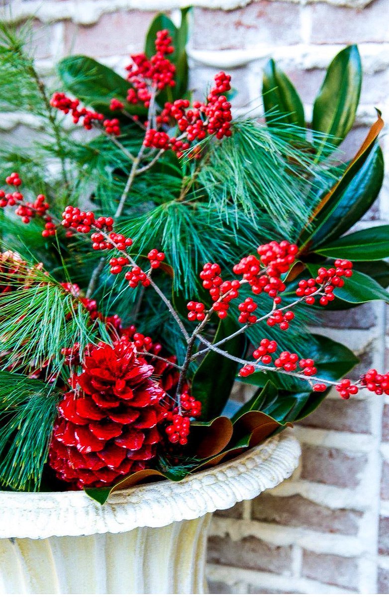 AmosEvents's tweet image. Flanking the red magnolia wreath on the door were urns of winter greens with pops of red ilex berries and large pinecones painted red to accentuate the wreath.

***You can see the full door in my previous posts!***