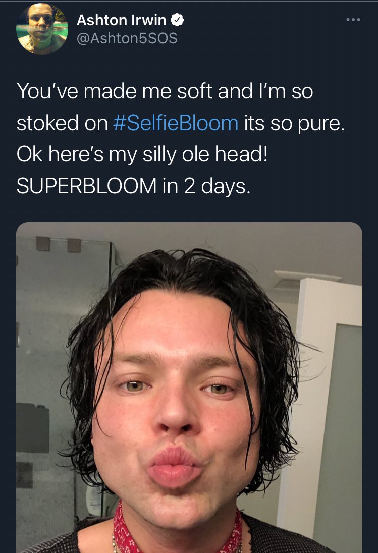 ShanLFTV's tweet photo. calum hood        ashton irwin
                     🤝
            participating in 
         the trends we start https://t.co/BkQ3iJmh3G