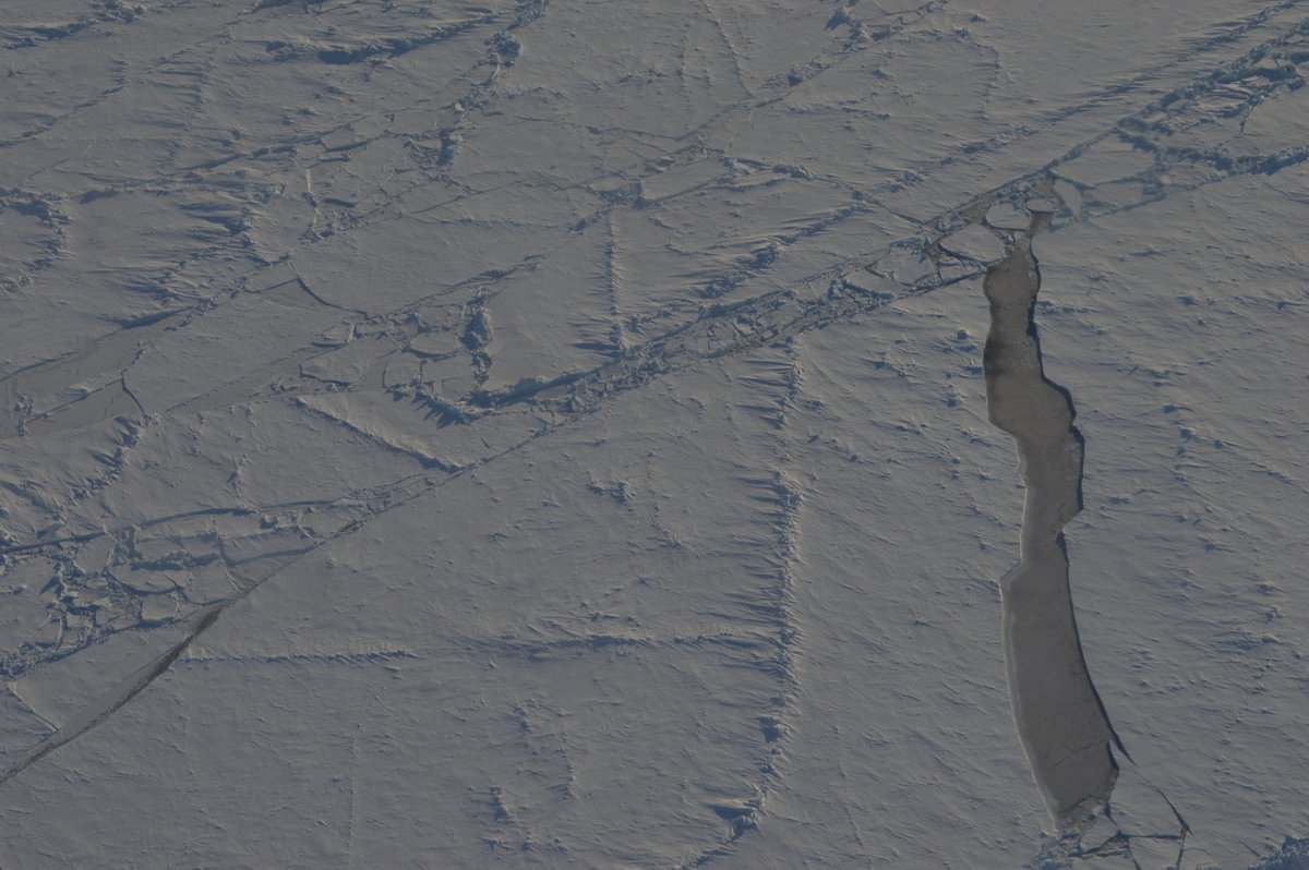 Reviewer 3 (not really): Conditions within the archipelago are not representative of larger Arctic domainsUs: Fine, we'll fly as far north as we can and collect moreWelcome to the Arctic Ocean where we landed multiple times on the way to 81N from Alert in 2017