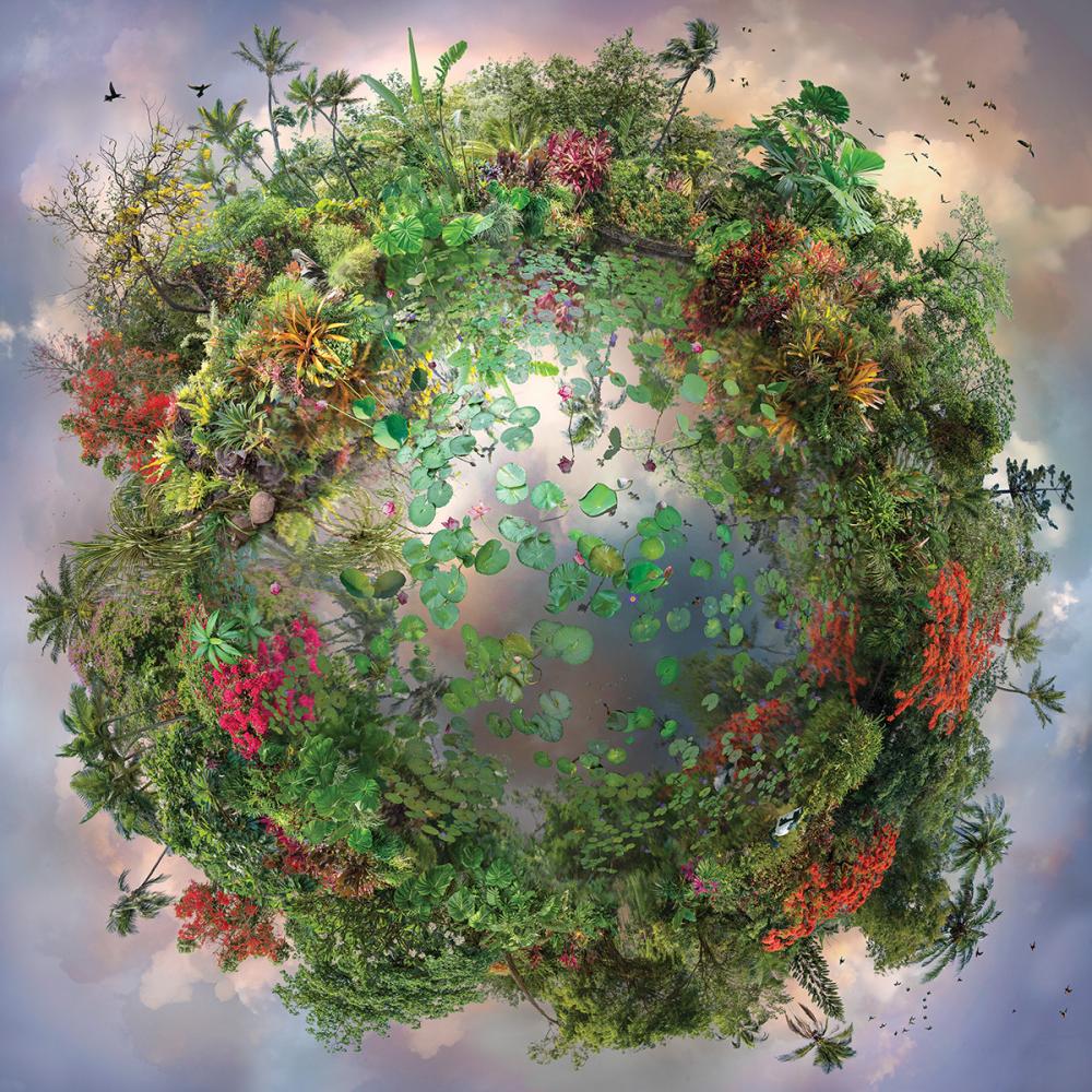 Digital collages that celebrate nature https://t.co/AfeOtMPMgG #photography #fineart https://t.co/T2fF0OhYoe