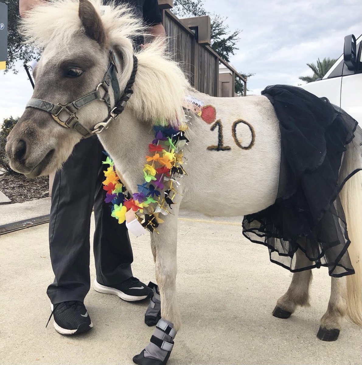 It me. Boop forever. <a href="/McKenzieMil10/">McKenzie Milton</a>