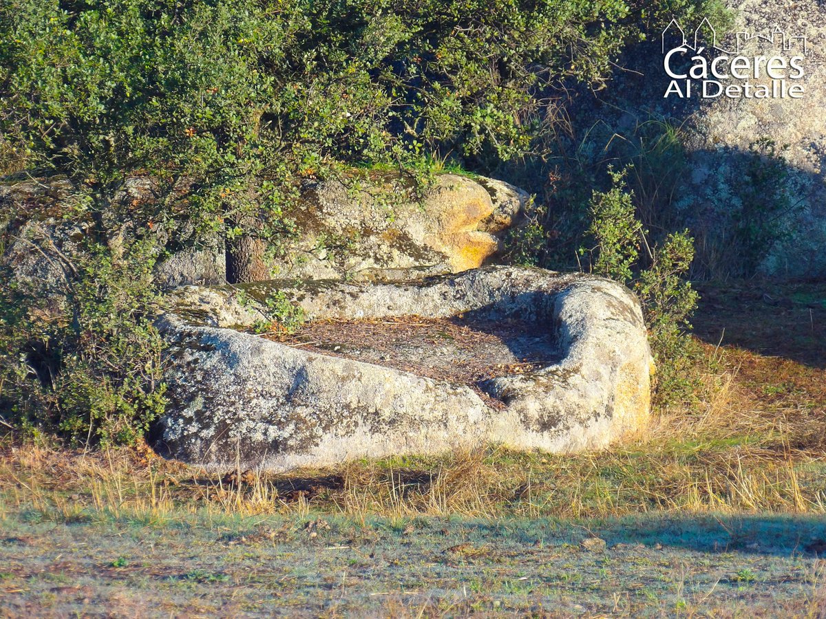 Hoy nos acercaremos a conocer esta prensa olearia en el Término Municipal de Cáceres y el carácter sagrado del aceite desde la antigüedad. Si quieres descubrirla, pincha en el enlace¡
caceresaldetalle.blogspot.com/2020/12/una-pr…
<a href="/oleosetin/">Oleosetin</a> <a href="/RVRibGuadiana/">RV Ribera Guadiana</a> <a href="/Turismo_DipCC/">Turismo Provincia Cáceres</a> <a href="/arqueogestion/">Arqueología y Gestion Turistica</a> <a href="/caceresturismo/">Turismo Extremeño</a>