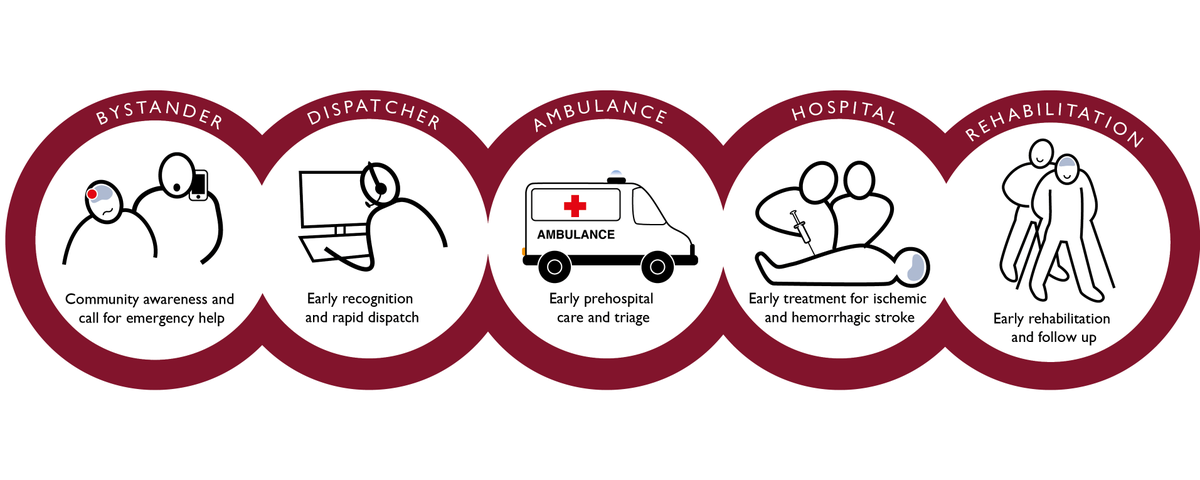 dk_DRG's tweet photo. Find the 10 steps increasing stroke survival as an open access ressource in the Int. Journal of Stroke useful for future stroke publications: https://t.co/hYDdGe5ImU @Global_RA @Anna_Ranta @Davidwaters1 @StrokeAus @SayreMR @panagos_peter @FreddyLippert @ToreLaerdal https://t.co/hJBwrRayNg