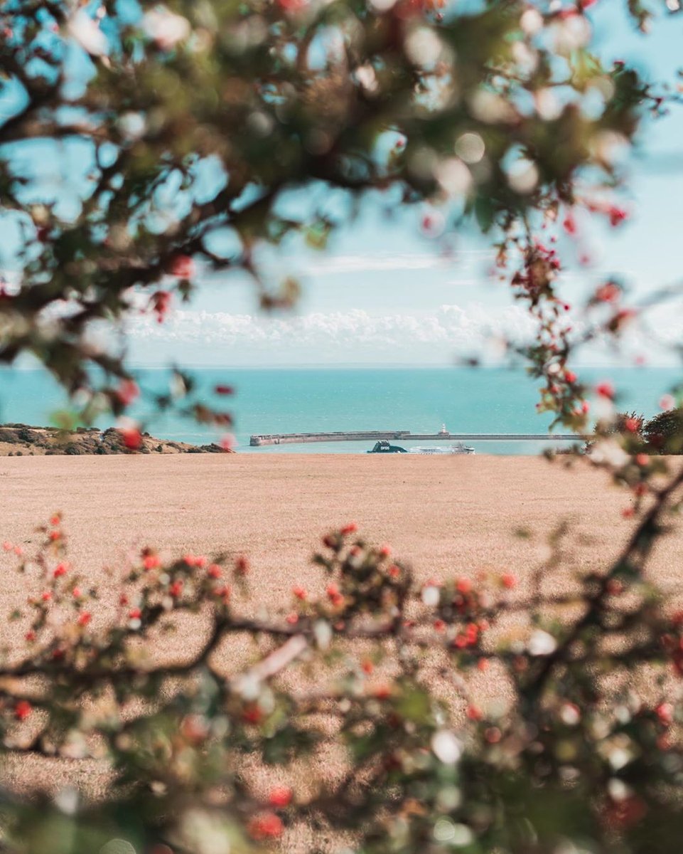 The port of Dover. I love how, when you’re there, you have everything you need to see. Fields, cliffs, tractors, ocean, ships, port.
#sonyalpha #phototip #phototricks #landscape #travel #travelphotography #widelens #landscape #landscapephotography https://t.co/xqrmmXFkAx