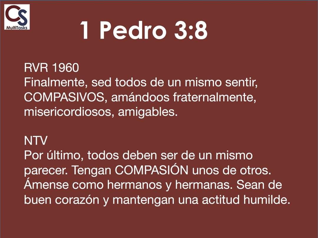 CS_MultiTasks's tweet image. 