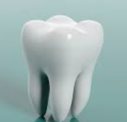 RotClaw_43's tweet photo. left: Dr tUwno: talk 4 10 yhrs about wat this goop means?
right: Tooth skool: Descrbihve the Purpose of This Strukshure https://t.co/l9dSsbds2G