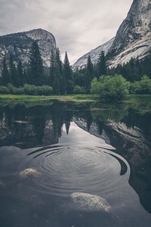 Desvre, Francia.
#travel #traveladdict #travels #traveler #photography #nature #beautiful #desvre #francia https://t.co/luY2cDzCO2