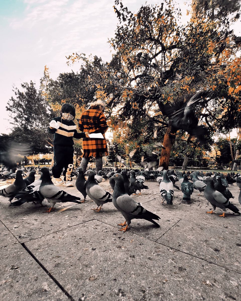 Bazı insanlar yalnızlıktan kaçarken bazıları da yalnızlığa kaçardı....🍂