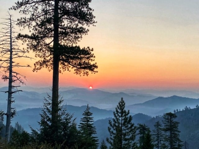 ShastaTrinityNF's tweet image. The #RedSalmonComplex is 100% contained. Please note that the fire closure on the Shasta-Trinity NF portion of the fire is still in place. More info here: facebook.com/RedSalmonCompl…