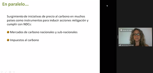 Webinar ALADEE

🗣️ Expone Verónica Gutman sobre mercados de carbono en Argentina