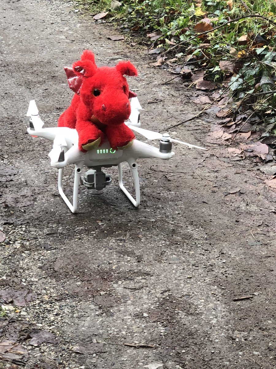 CosyDragons's tweet photo. They said during lockdown to learn something new. So I thought I’d take up #flying!! @AerialWales #Bookdirect #VisitWales
#Dogfriendlyinfo @TheGoodDogGuide #VisitMon @TheHolidayCots @Fly2Wales https://t.co/aVUUku10cX