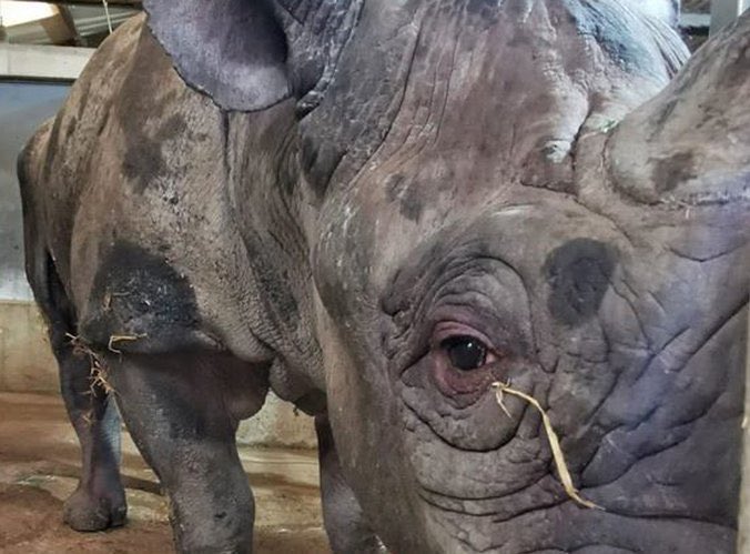 ManiAkAvci's tweet photo. Beaucoup se plaint du confinement,
mais oubliez pas une chose c’est que certains animaux sont confiné depuis leur naissance isolé et loins de leurs familles... https://t.co/tWAGTIWPSb