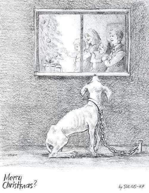 This is such a powerful image. Many people wouldn’t dream of treating their pets like this but it does happen.  I see it often. If you can’t commit to many years of love &amp; care please don’t get a real pet, try a teddy instead.