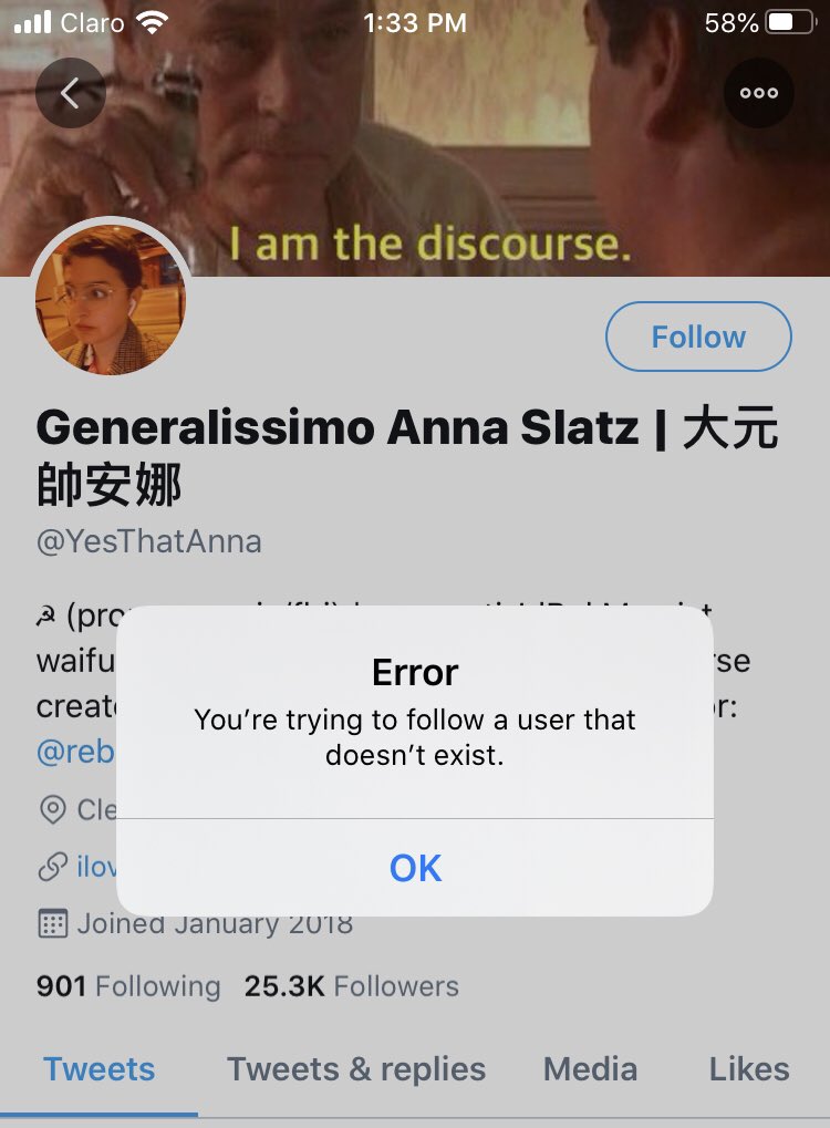 My inspiration @YesThatAnna has been rendered a non-person by the @Twitter police.