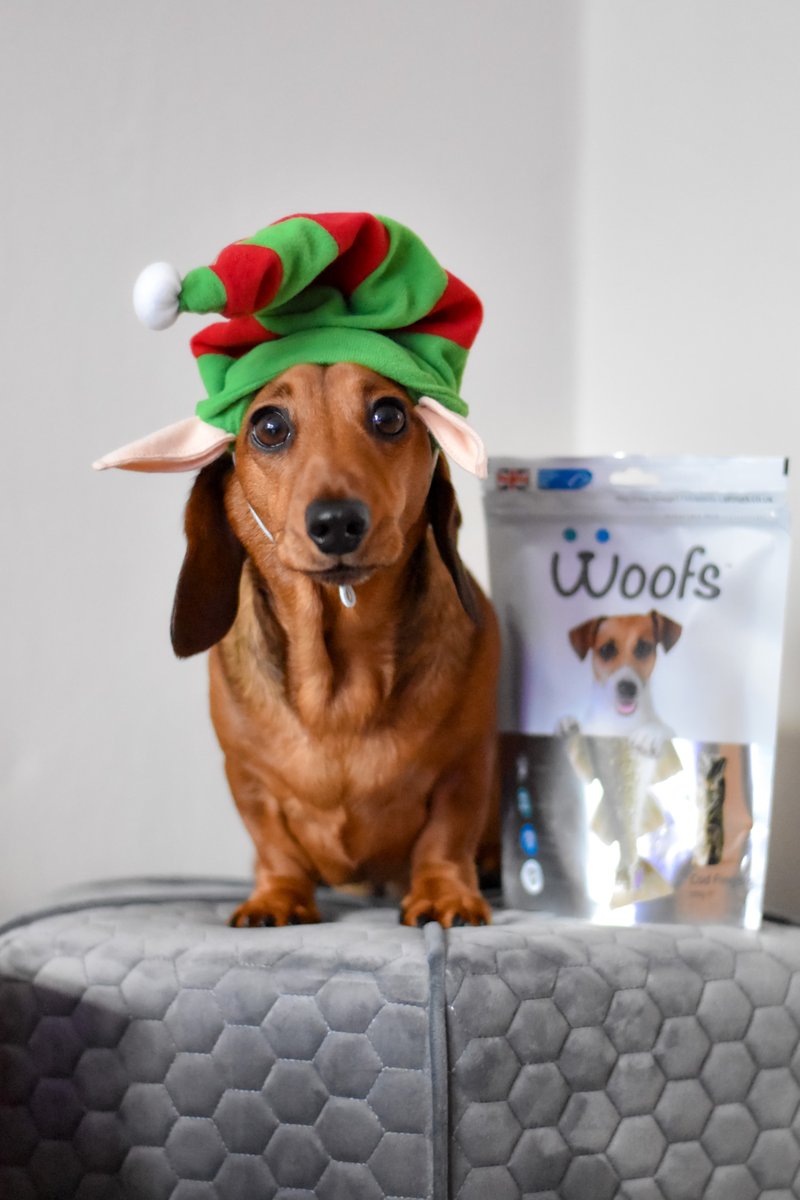 WOOFS (@woofsfishtreats) on Twitter photo Our in-house sausage elves have been working hard in anticipation of our first Christmas offer...
LAUNCHING TOMORROW!
Who's excited?
We're definitely excited.
🐶❤️🐟
#SustainableSeafood #ChooseTheBlueLabel <a href="/MSCecolabel/">Marine Stewardship Council</a> <a href="/MSCintheUK/">MSC in the UK</a> Our in-house sausage elves have been working hard in anticipation of our first Christmas offer...
LAUNCHING TOMORROW!
Who's excited?
We're definitely excited.
🐶❤️🐟
#SustainableSeafood #ChooseTheBlueLabel <a href="/MSCecolabel/">Marine Stewardship Council</a> <a href="/MSCintheUK/">MSC in the UK</a>