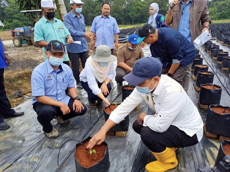 3DEC2020 | LAWATAN KERJA EXCO PERTANIAN NEGERI PERAK DAN KETUA PENGARAH LPP PUAN AZULITA BINTI SALIM KE PROJEK LADANG eSATELIT (IOT) SAYURAN FERTIGASI PPK SELAMA PERAK