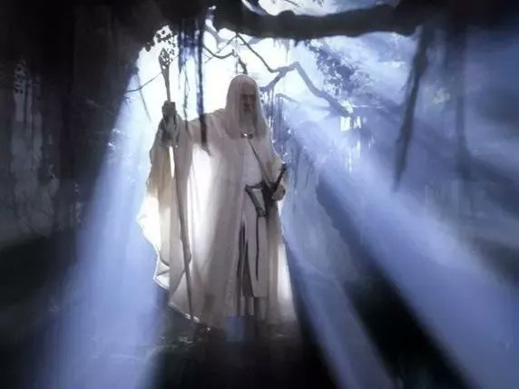 ...We first meet Gandalf "The White" in the forest of Fangorn. Yet Aragorn and company do not recognize him. He looks different because HE IS DIFFERENT. As in not the same body that he was before. He has a new "Carnation" that his spirit is housed in...part 3.