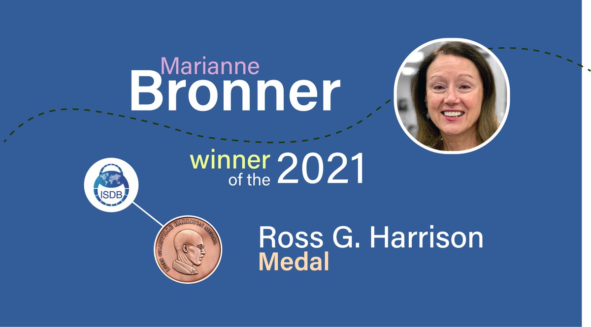 We are thrilled to reveal that Marianne Bronner is the winner of the 2021 Ross G. Harrison Medal! 

Thanks @BronnerMarianne for the remarkable scientific contributions and dedication to the #DevelopmentalBiology community.

We are looking forward for your lecture at #ISDB2021.