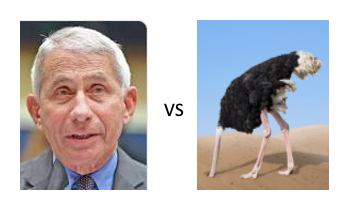 DShaywitz's tweet photo. Fauci is superb, but it will still be far better for U.S. once we're past the "Fauci vs denialism" choice, and instead debate a range of scientific perspectives, which will inevitably lead to a broader, more robust, and healthier national discussion (see https://t.co/m6GZN6BcDu) https://t.co/fP3Vjmq30u