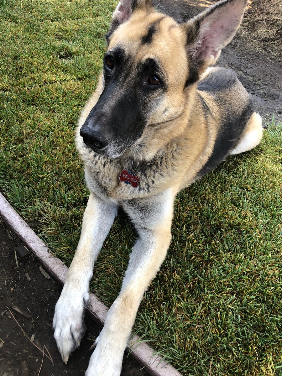 My big boy on <a href="/HarmonyOrangeHD/">Harmony SOD</a>