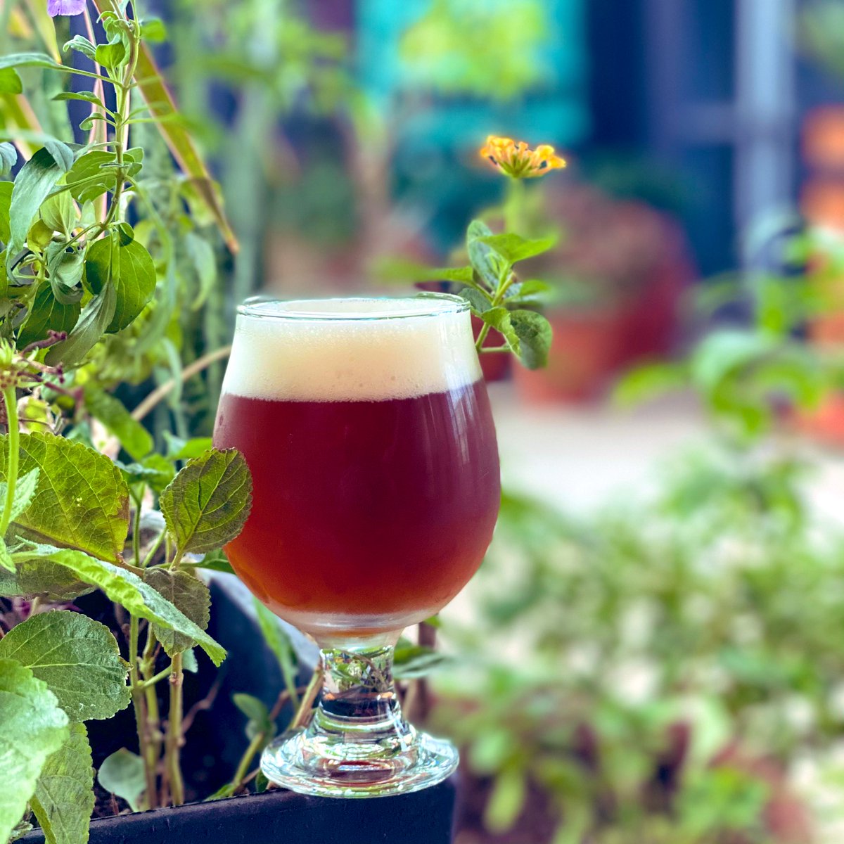 This Abby Style Quad at 10% is a good one indeed.