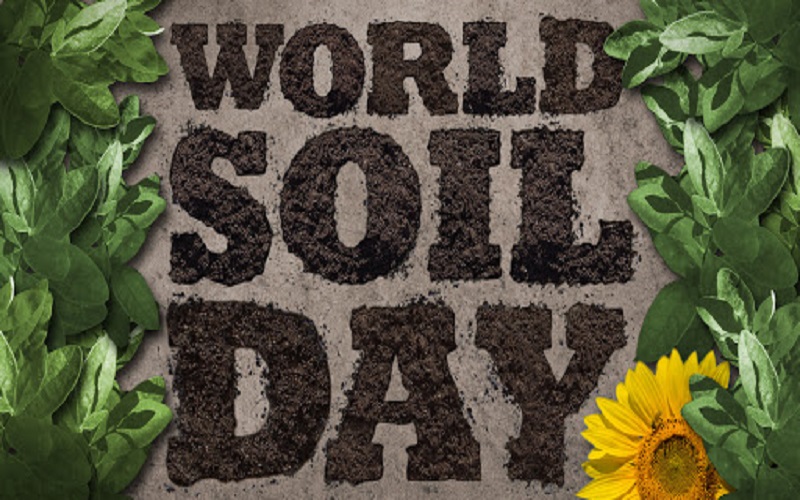 St Vincent To Celebrate World Soil Day December 5th