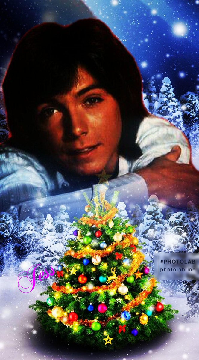 Jess22bsb's tweet photo. 🎄 ❤❤ #DavidCassidy #love #dreamyboy https://t.co/lCbheLbeqC
