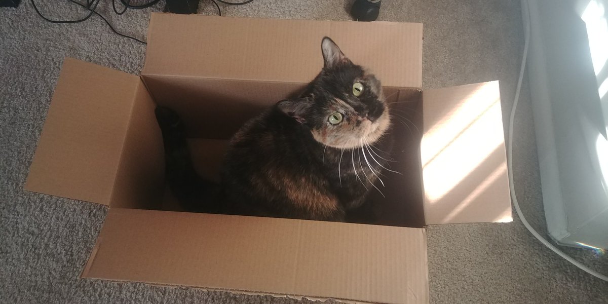 LibGirl09's tweet photo. I bought some more candles and a 128 oz water bottle w/ words of encouragement on it. And well, the cat has a new box.
#SelfCare #CatCare #EveryBodyIsHappy https://t.co/QJaEmdSfOv