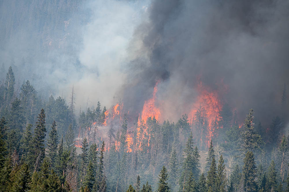 ColoradoStateU's tweet photo. The largest fire in Colorado's history is at 100% containment. 

Thank you to the crews who fought the Cameron Peak Fire all the way to the end 👏 https://t.co/7TOwfJ6p7p