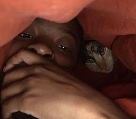 Laflaamm's tweet photo. Quand Mon Chat Veux Savoir Si Je Cause Avec Ça Shatt #ladrague https://t.co/gGKwkWSgIO