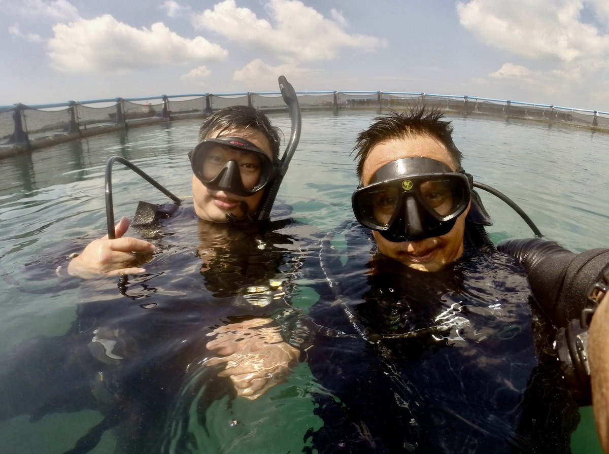 StephenBengSL's tweet photo. Dropped in at Singapore’s biggest barramundi farm. Hoping to welcome them as part of the @sgmarineparks #community soon. #ocean #environment #sustainability #fish #foodsecurity #inclusion #connection #SGUnited https://t.co/FOtHFFtR2M
