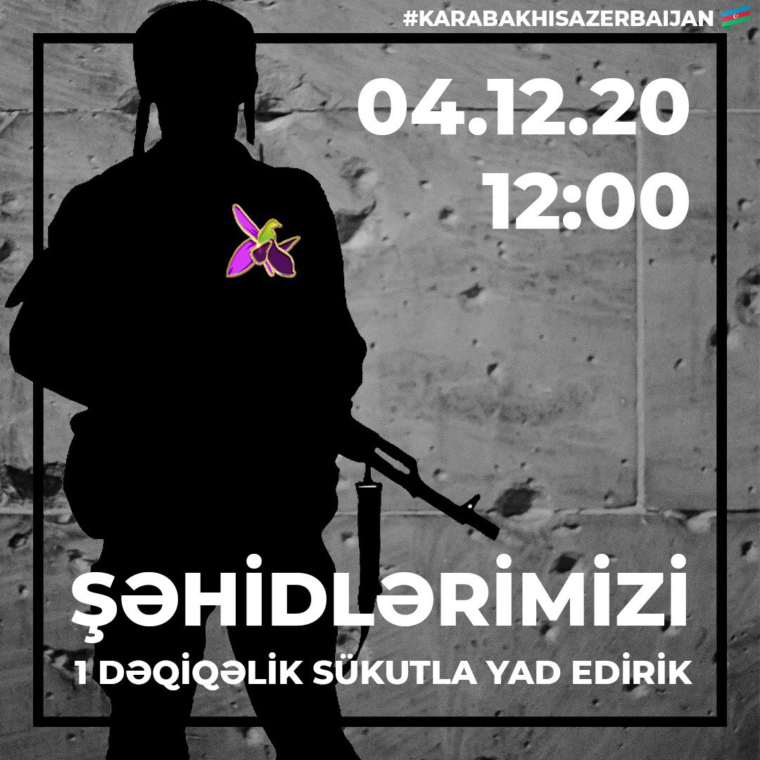 #VictoriousAzerbaijaniHeroes