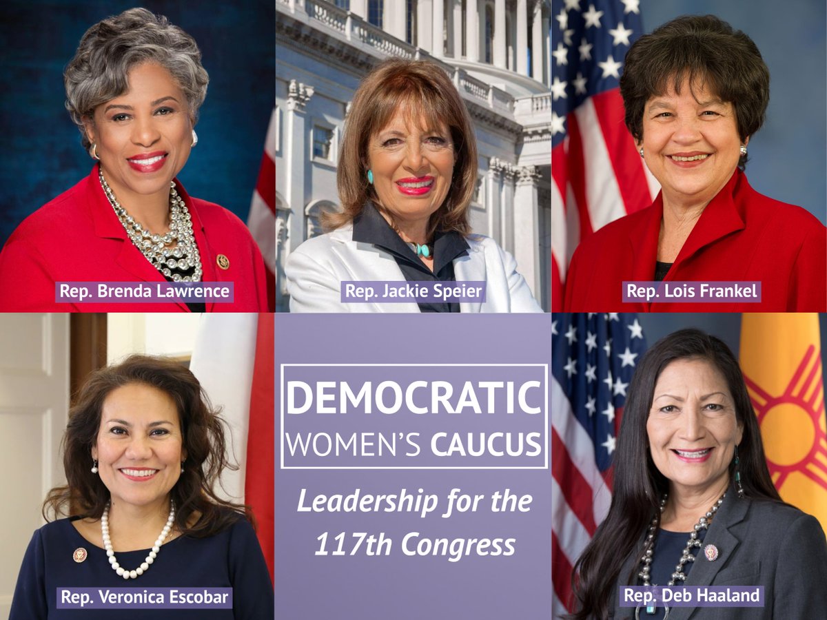DemWomenCaucus's tweet photo. We're thrilled to announce the leadership of the Democratic Women's Caucus (DWC) for the 117th Congress. 

Our Co-Chairs @RepLoisFrankel, @RepLawrence, &amp; @RepSpeier, and our Vice Chairs @RepEscobar and @RepDebHaaland are ready to continue working on behalf of women &amp; families. https://t.co/rZybwGIT5i