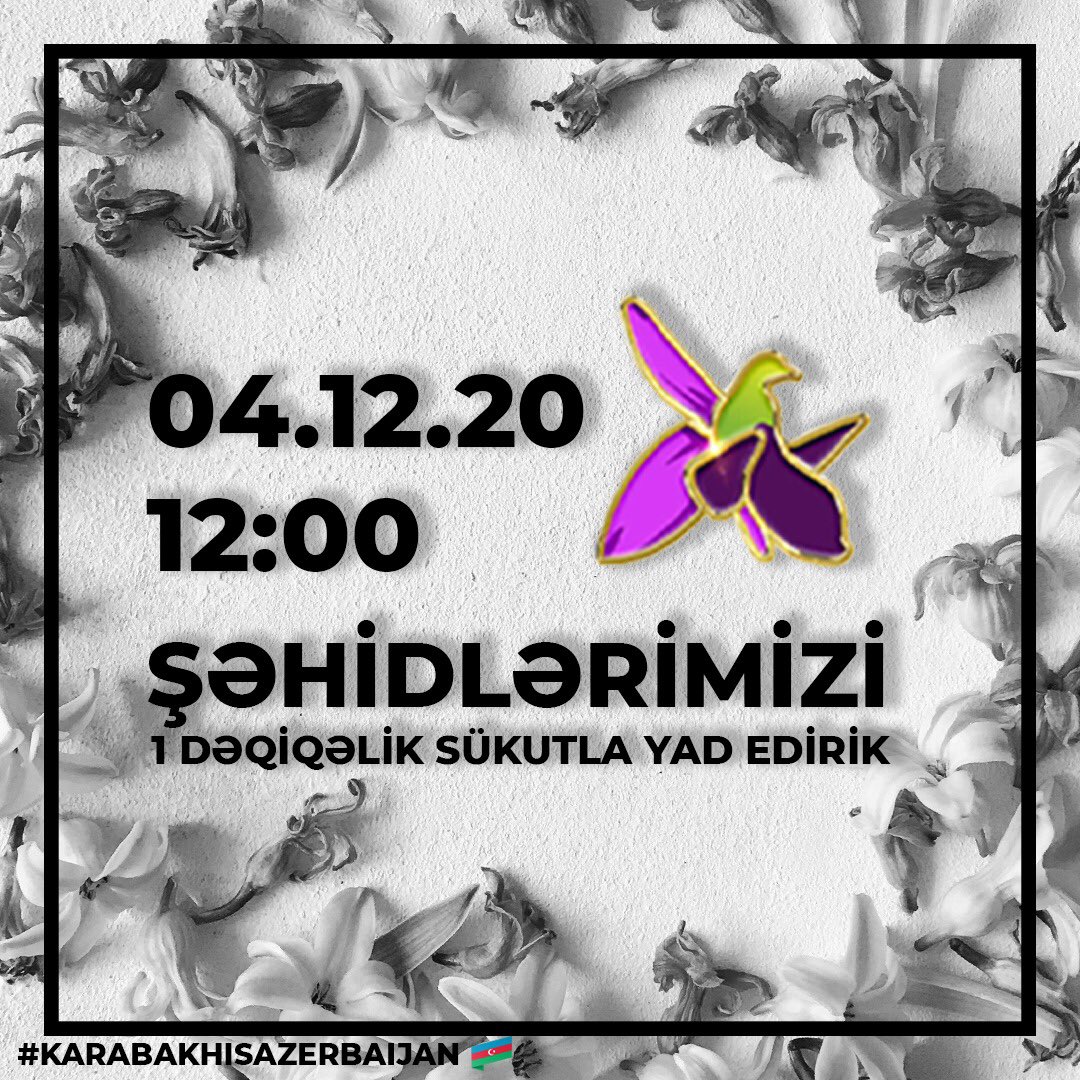 #VictoriousAzerbaijaniHeroes