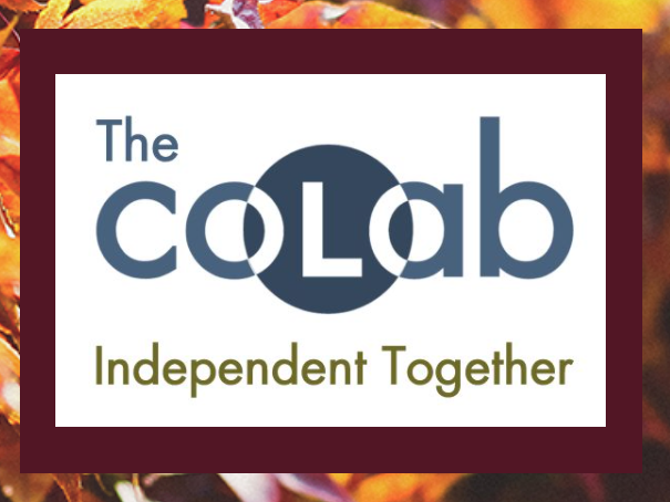 CoLabNW's tweet image. We know that closing The CoLab would have a large impact on our members and meeting room users, so we plan to keep our doors open as long as we determine it to be safe to do so. Learn how we are keeping you safe:  mailchi.mp/8f975aa44026/t…