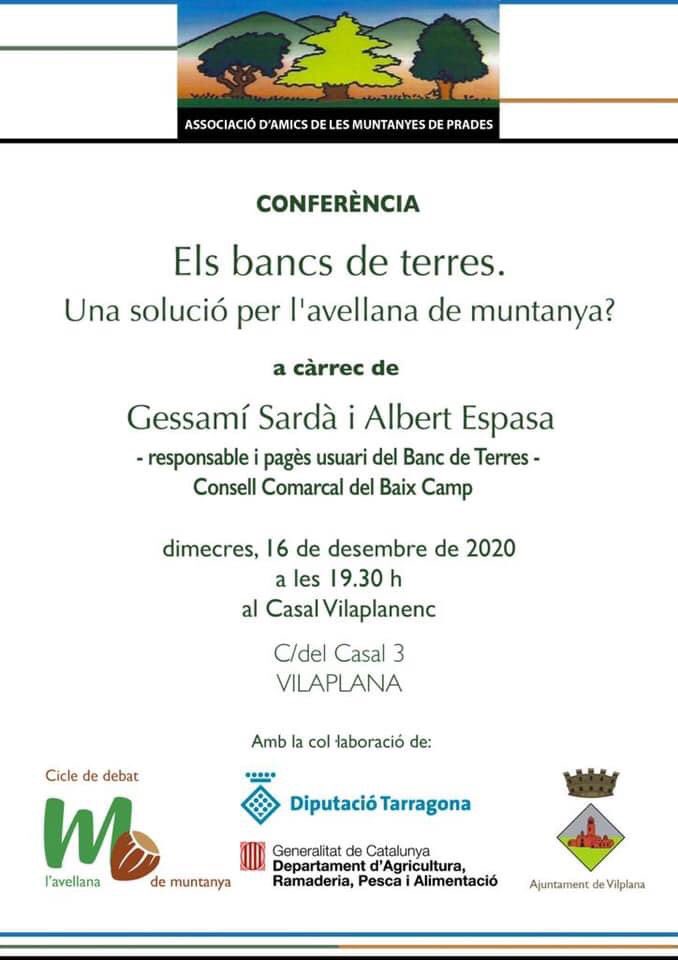 aamp.cat tweet media