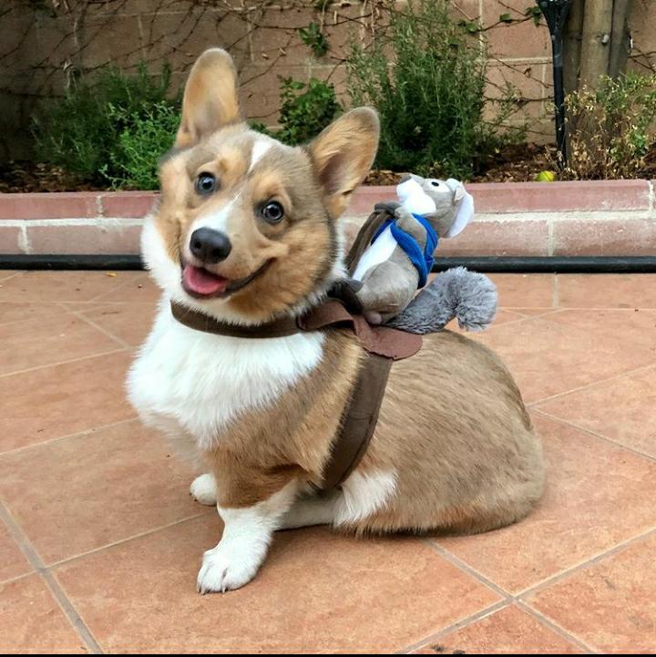 travis as omar; a happy thread