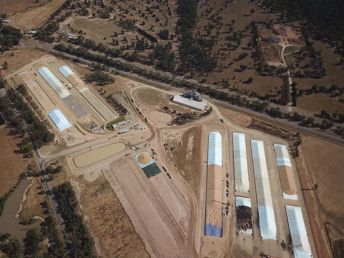 Its chaos....but of the organised kind! Our site at The Rock (southern NSW) is having a BIG year. 

Receivals over the past week have hit over 1,000t per hour all while averaging a truck turn-around time of 28 minutes!