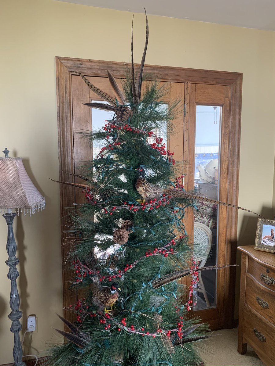 alyssasee18's tweet photo. my mom wanted a cute Christmas tree and my dad wanted a "manly" tree. they compromised and decorated their own... this is the result https://t.co/B03z8o3hWG