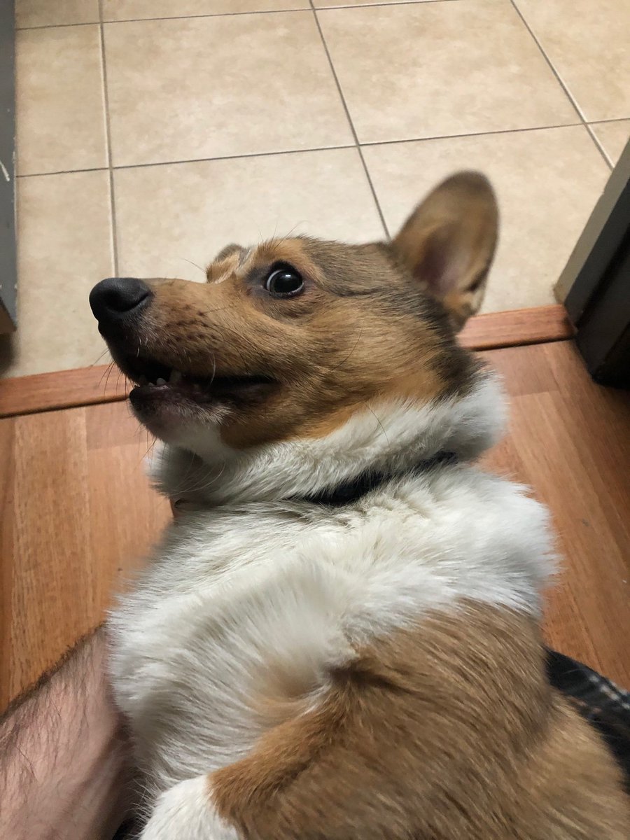 travis as omar; a happy thread