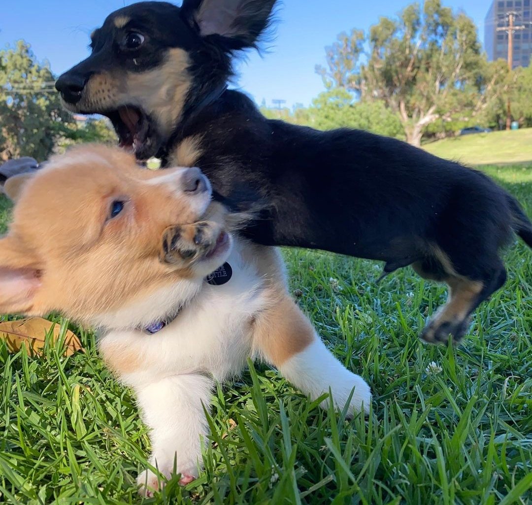 travis as omar; a happy thread