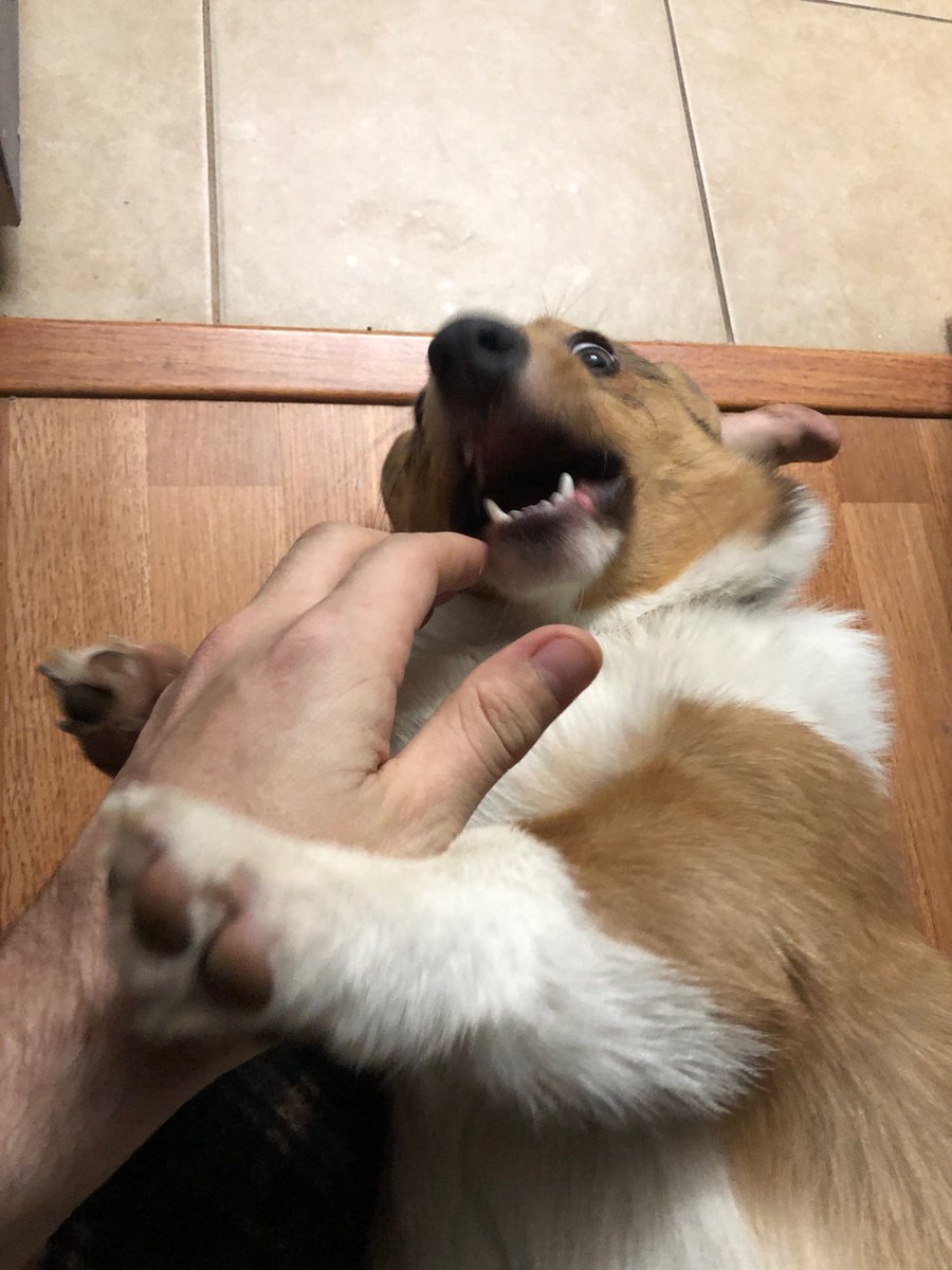 travis as omar; a happy thread