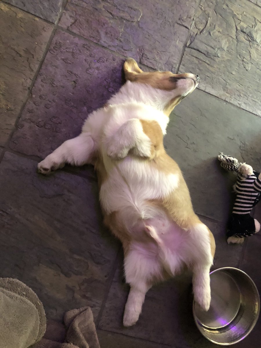 travis as omar; a happy thread