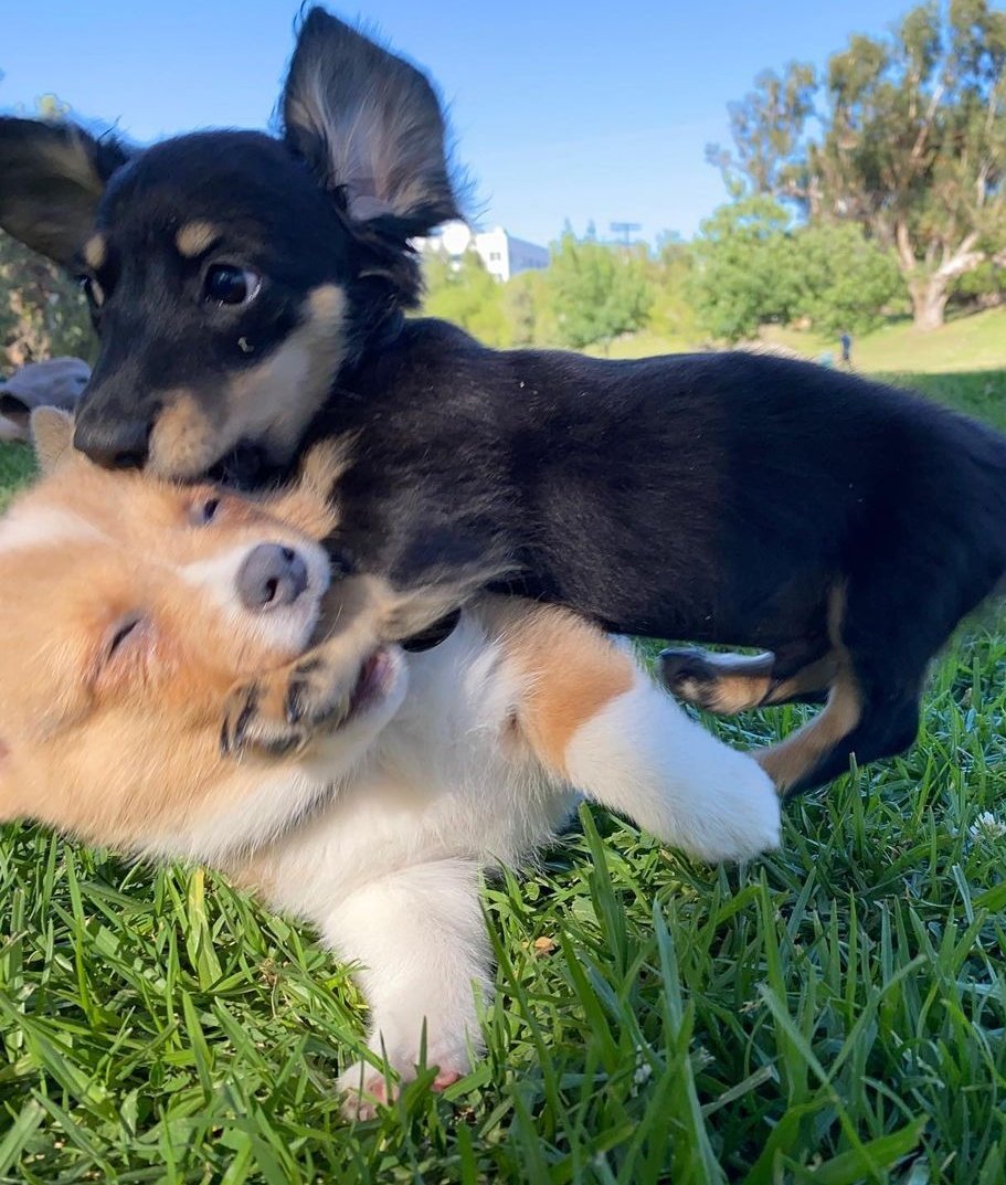 travis as omar; a happy thread