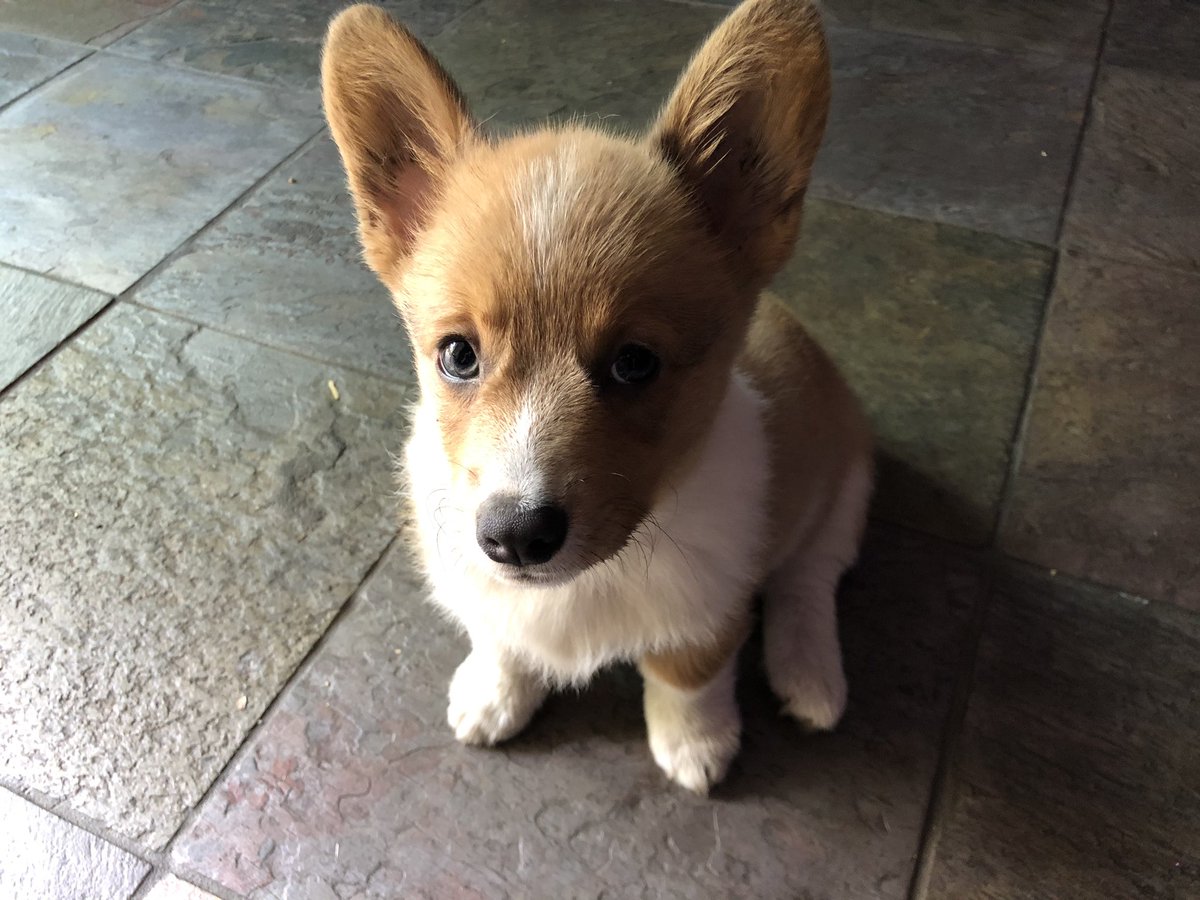 travis as omar; a happy thread