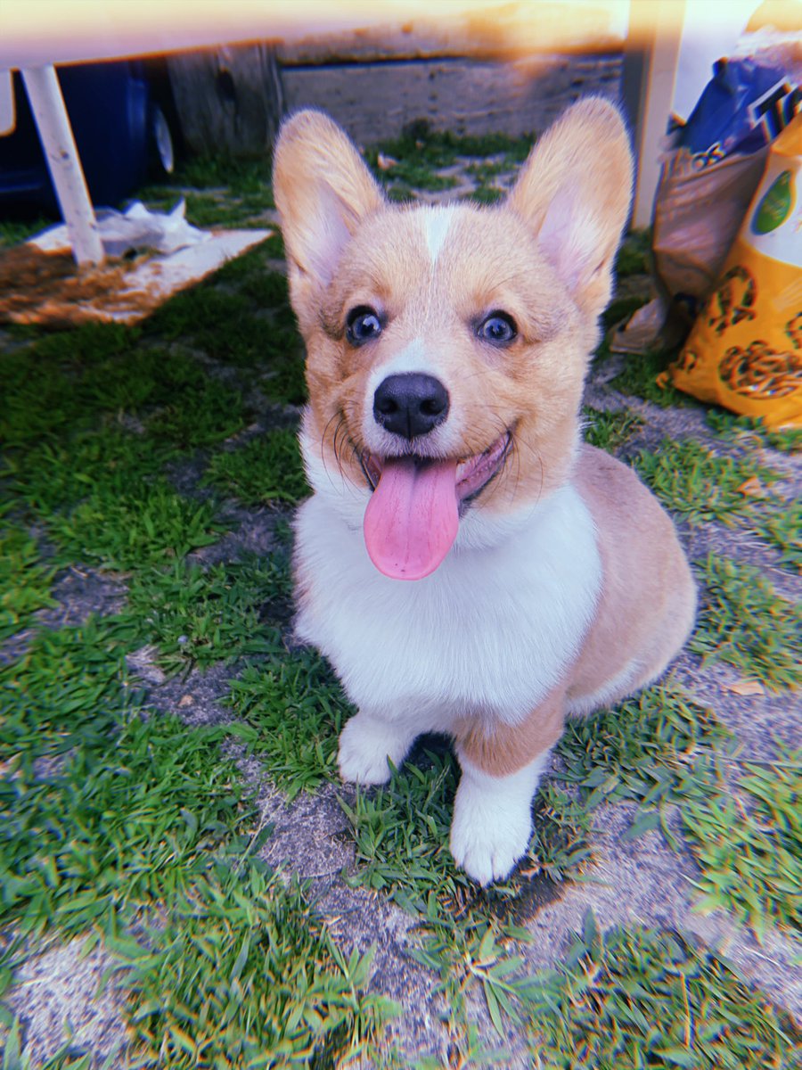 travis as omar; a happy thread